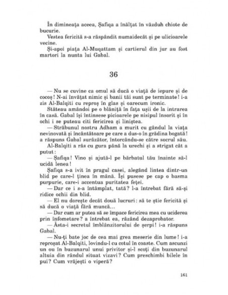 Băieţii de pe strada noastră