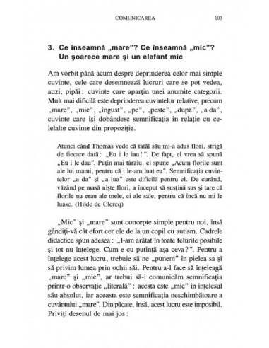 Autismul. Teorie şi intervenţie... Autismul. Teorie şi intervenţie...