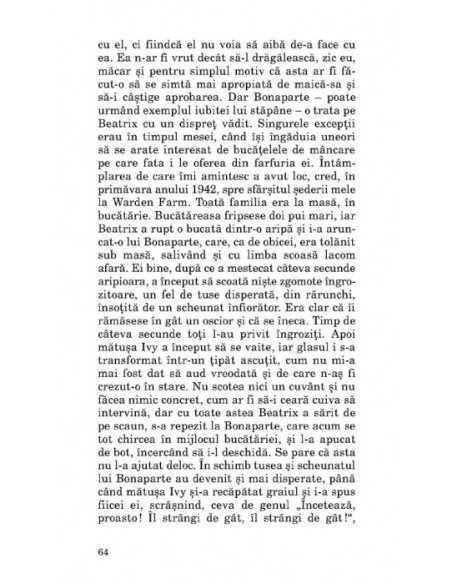 Ploaia înainte să cadă