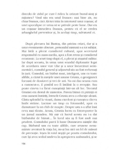 Ambasadorul invizibil