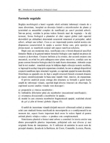 Introducere în gramatica limbajului... Introducere în gramatica limbajului...