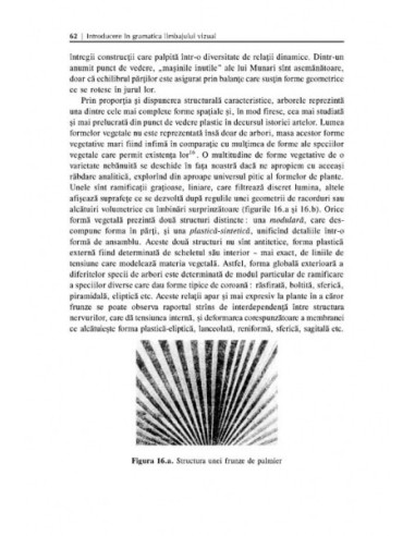 Introducere în gramatica limbajului... Introducere în gramatica limbajului...