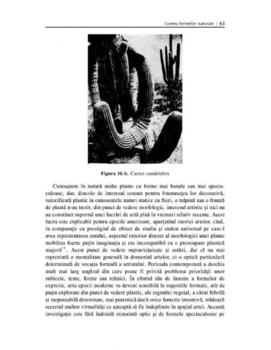 Introducere în gramatica limbajului... Introducere în gramatica limbajului...