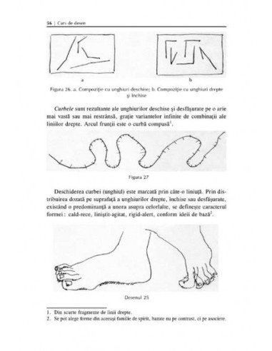 Curs de desen Curs de desen
