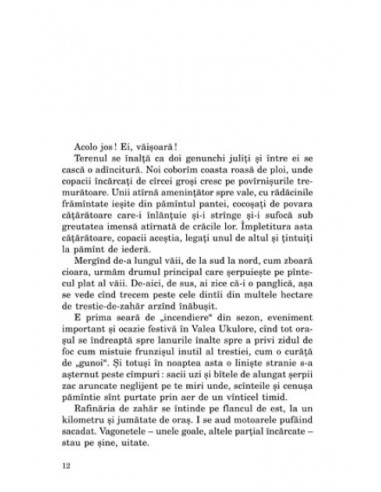 Și a văzut asina pe înger Și a văzut asina pe înger