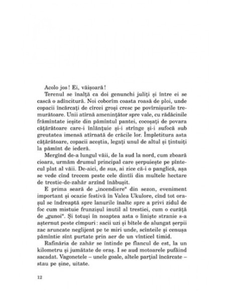 Și a văzut asina pe înger
