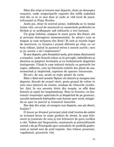 Și a văzut asina pe înger Și a văzut asina pe înger