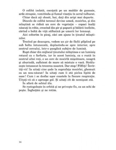 Și a văzut asina pe înger Și a văzut asina pe înger