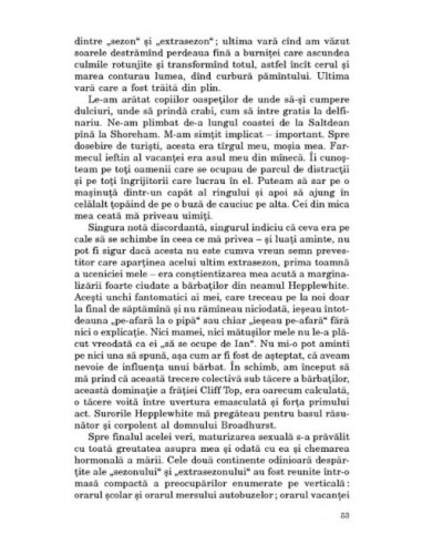 Cum văd eu distracţia