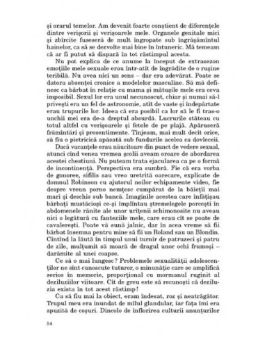 Cum văd eu distracţia