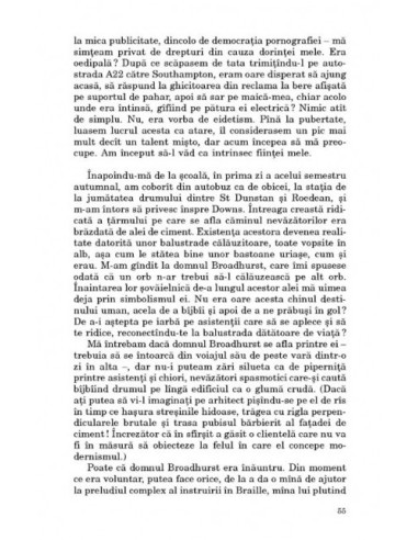 Cum văd eu distracţia