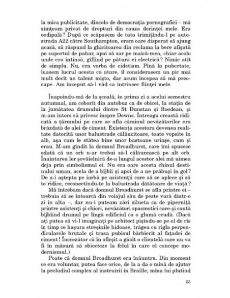 Cum văd eu distracţia