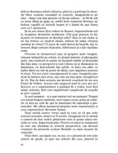 Cum văd eu distracţia