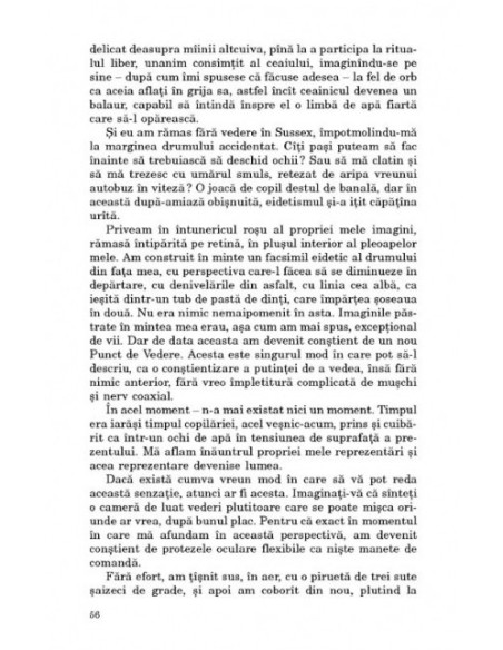 Cum văd eu distracţia