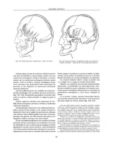 Anatomie artistică (I)