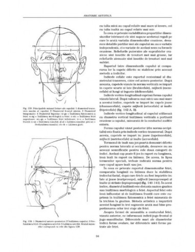 Anatomie artistică (I)