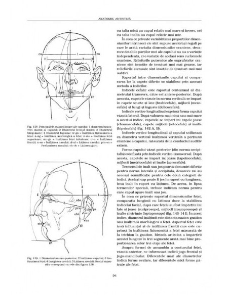 Anatomie artistică (I)