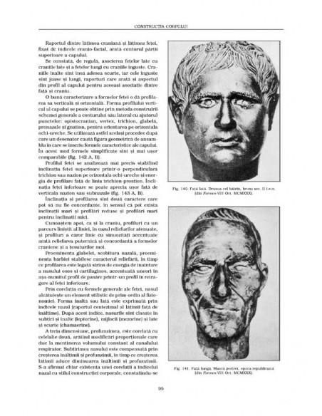 Anatomie artistică (I)