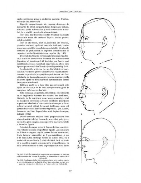 Anatomie artistică (I)