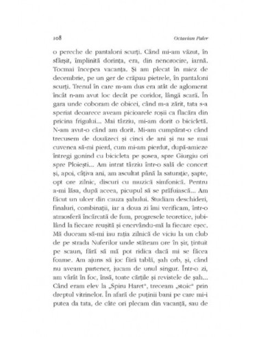 Autoportret într-o oglindă spartă