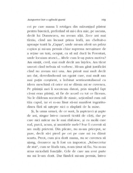 Autoportret într-o oglindă spartă