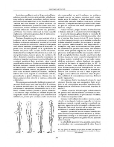 Anatomie artistică (II)