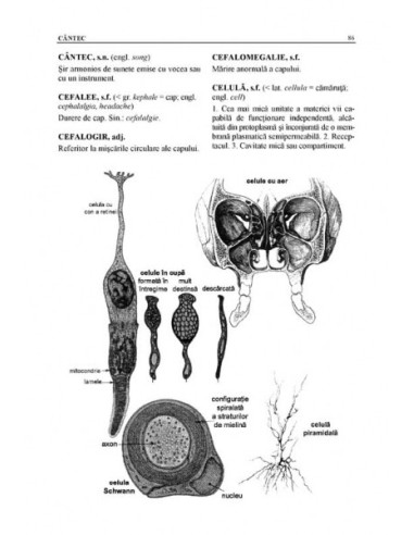 Dicţionar explicativ de logopedie Dicţionar explicativ de logopedie