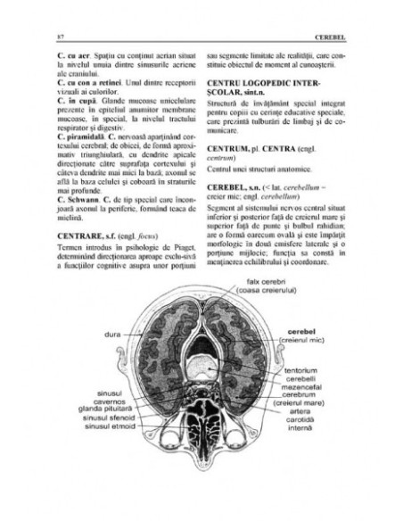 Dicţionar explicativ de logopedie