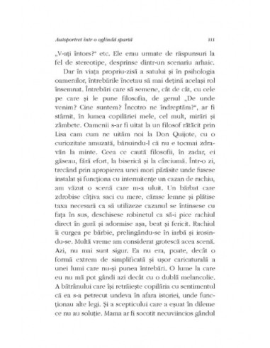 Autoportret într-o oglindă spartă