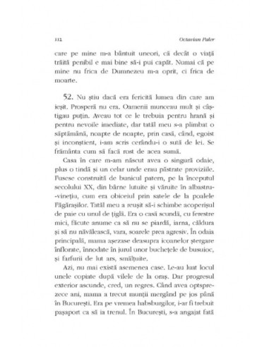 Autoportret într-o oglindă spartă