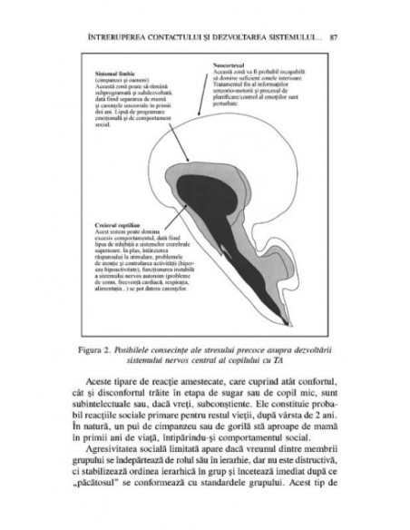 Tulburările severe de atașament în copilărie. Ghid de terapie practică