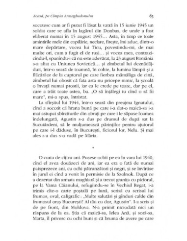 Acasă, pe Cîmpia Armaghedonului