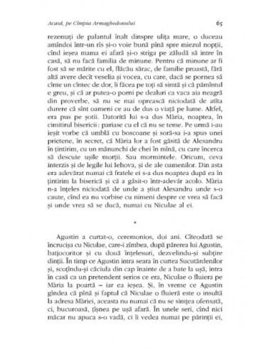 Acasă, pe Cîmpia Armaghedonului