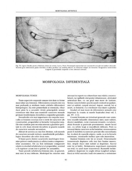 Anatomie artistică (III)