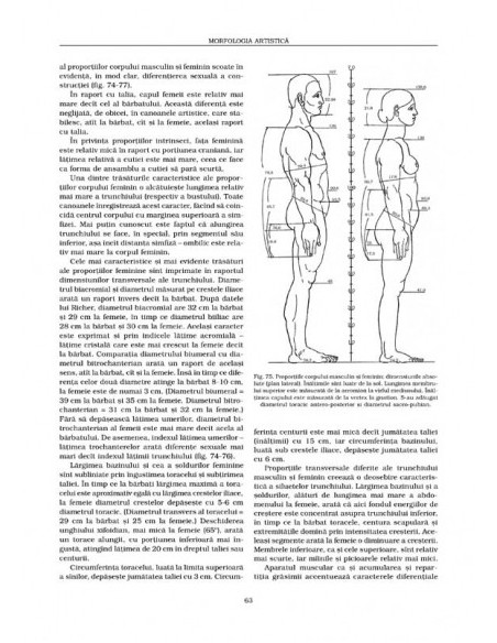 Anatomie artistică (III)