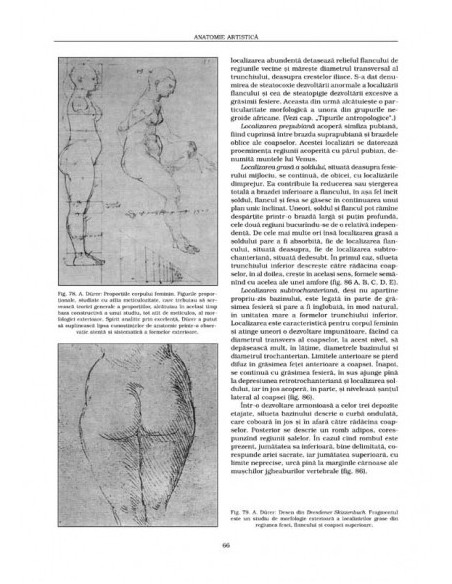 Anatomie artistică (III)
