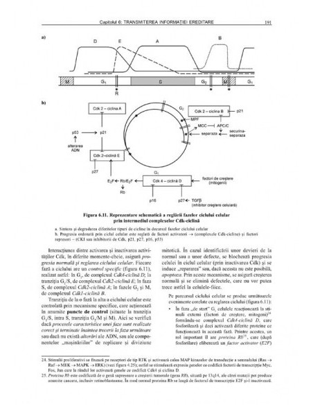 Genetică medicală