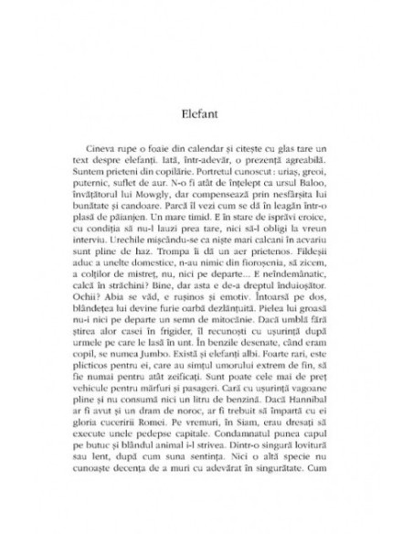 Opere III: Marocco (II)