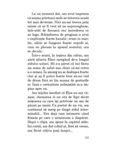 Cartea scurtelor iubiri eterne