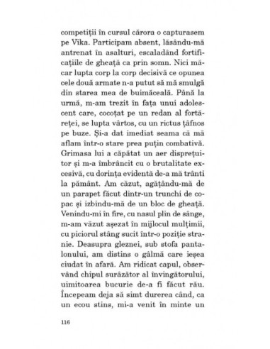 Cartea scurtelor iubiri eterne