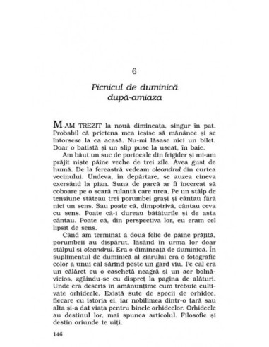 În căutarea oii fantastice În căutarea oii fantastice