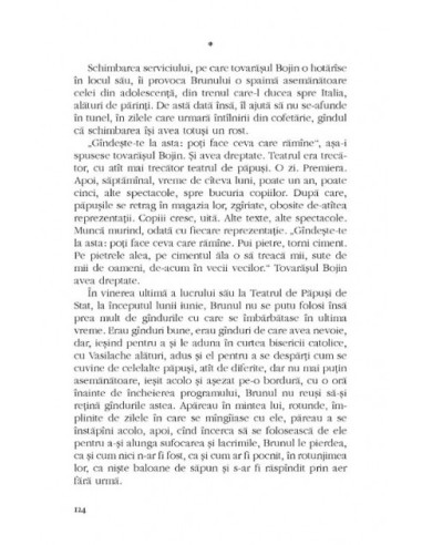 Matei Brunul Matei Brunul