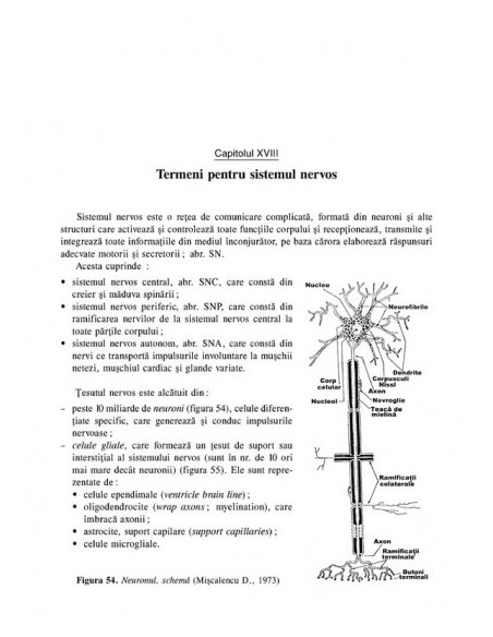 Terminologie medicală şi farmaceutică