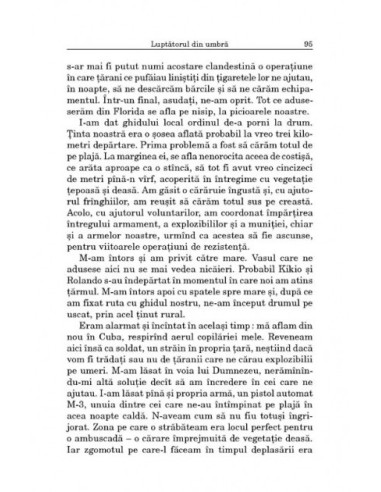 Luptătorul din umbră: un agent CIA şi...