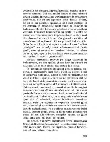 America fără etaje