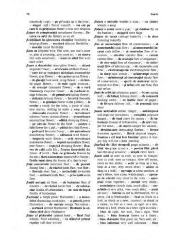 Dicționar român-englez de expresii și...