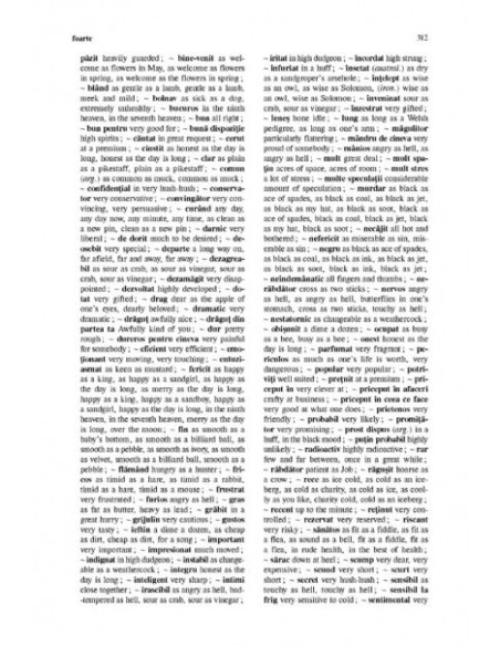Dicționar român-englez de expresii și locuțiuni