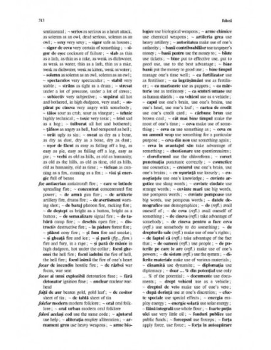 Dicționar român-englez de expresii și...