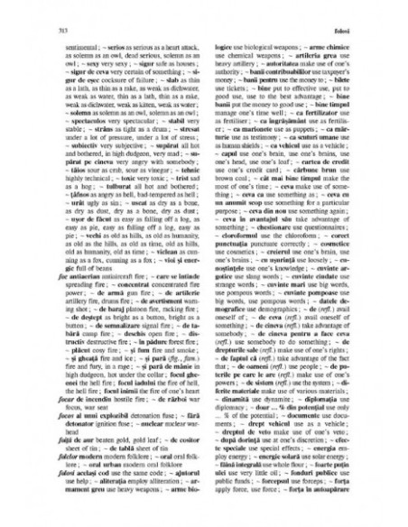 Dicționar român-englez de expresii și locuțiuni