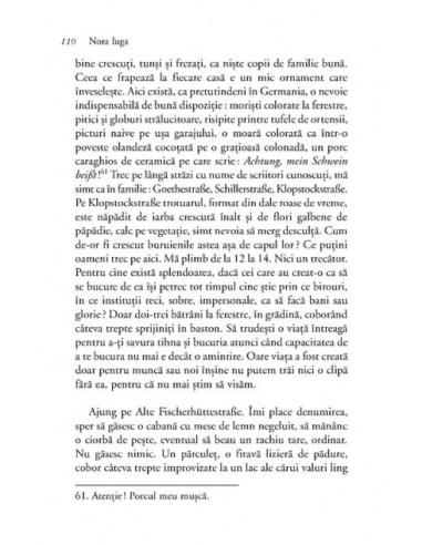 Berlinul meu e un monolog